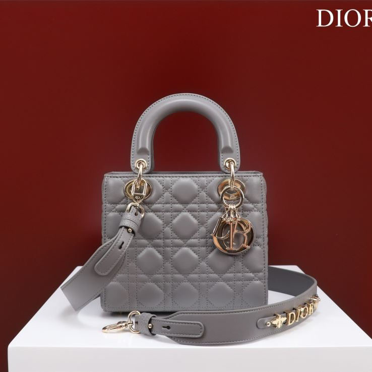 chr1st1an D10r my lady bags
